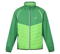 Regatta Mens Steren Hybrid Soft Shell Jacket (Field Green/Jasmine Green) - Dark Green material_polyester - Size Small
