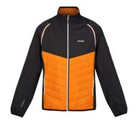 Regatta Mens Steren Hybrid Soft Shell Jacket - Orange Pepper/Ash - Orange Pepper/Ash - XXL