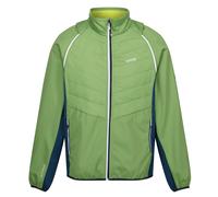 Regatta Men's Steren II Softshell Hybrid Jacket - Piquant Green/Moroccan Blue/Citron Lime - Piquant Green/Moroccan Blue/Citron Lime - 3XL