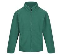 Regatta Mens Thor 300 Series Anti Pilling Fleece Jacket - Green - Size Large