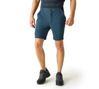 Regatta Travel Light Shorts Blue 38 Men