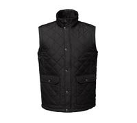 Regatta Men's Tyler Insulated Waterproof Bodywarmer Plain Turtleneck Sleeveless Outdoor Gilet - Perfect for Walking, Hiking & Camping