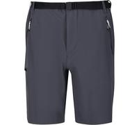 Regatta Mens Xert III Stretch Shorts - Seal Grey - 32" - Seal Grey - 90% Polyamide/10% Elastane