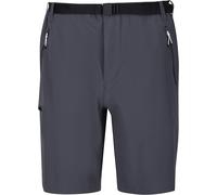 Regatta Mens Xert III Stretch Shorts (Seal Grey) - Size 30 (Waist)