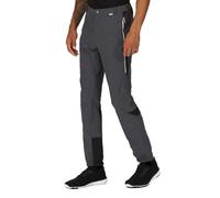 Regatta Mountain Iii Pants Grey 42 / 32 Men