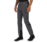 Hiking Trousers Regatta Mountain II 44 Short