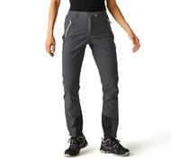 Regatta Mountain III Womens Trousers Regular Seal Grey