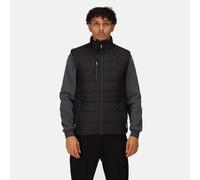 Regatta Professional Mens Navigate Thermal Gilet Body Warmer, Black/Sealgr, L EU