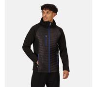 Regatta Navigate Black/royal Blue Men's Insulated Stretch Hybrid Jacket #TRA549