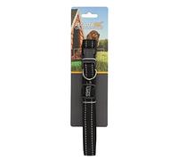Regatta Premium Dog Collar, perfect for Walking & Outdoors