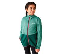 Children's softshell jacket Regatta Prenton III 15/16 ans