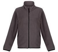 Regatta Boys Professional Full Zip Micro Fleece Jacket, Seal Grey, 9-10 Years EU