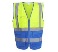 Regatta Professional Mens Hi-Vis Vest (L) (Yellow/Royal Blue)
