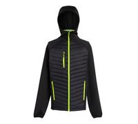 Regatta Professional Men's Navigate Hybrid Lightweight Jacket, Insulated & Stretchable - Perfect for Outdoors, Walking, Hiking & Camping