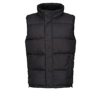 Regatta Professional Men's Northdale Insulated Gilet – Black, M (UK)