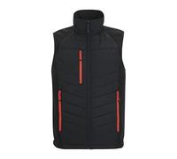 Regatta Professional Men's Pro Universal Bodywarmer, Black/ClsRed, M
