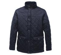 Regatta Professional Mens Quilted Jacket Navy (2Xl Uk)