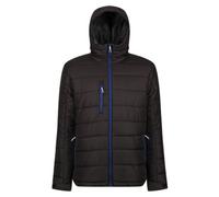 Regatta Professional Mens Thermal Padded Jacket Black/new Royal (M)
