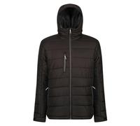 Regatta Men's Jacket Navigate - Thermal Padded - Black/Seal Grey - 2XL