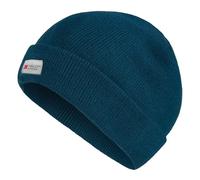 Regatta Professional Mens Thinsulate Hat Hats Blue (Navy)