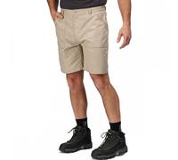 Regatta Professional TRJ332 Mens Action Shorts Lichen 44" Colour: 44"