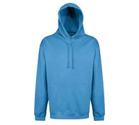 Regatta Professional Unisex Buildup Hoodie Fleece Sky Blue