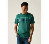 Regatta Rendro Pure Cotton Striped T-Shirt Green