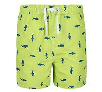 Regatta Skander II Swimsuit for Boys, Eltriclmeshr, 11 Years
