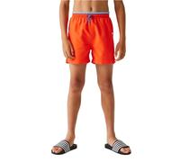Regatta Skander III Boys Swim Shorts