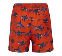 Regatta Skander Swimming Shorts