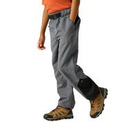 Regatta Sorcer Mount Vii Pants
