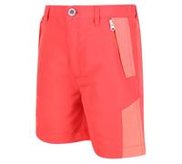 Regatta Sorcer Mountain II Kids Active Shorts