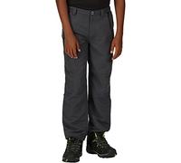 Regatta Sorcer MT TRS VI Boys' Trousers, gray, 170