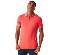 Regatta Tadeo Mens Short Sleeved Cotton Polo Shirt