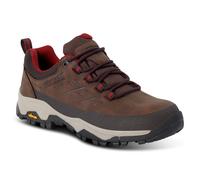 Regatta Blake Low Hiking Shoes Black EU 42 Woman