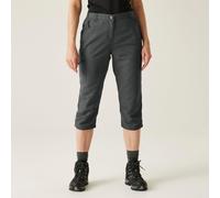 Regatta Chaska Iii 3/4 Pants Grey 38 Woman