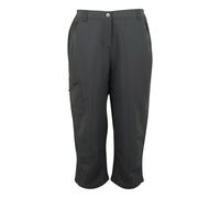(12L, Seal Grey) Regatta Womens/Ladies Chaska III Walking Capri Cropped Trousers