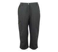 (20L, Seal Grey) Regatta Womens/Ladies Chaska III Walking Capri Cropped Trousers