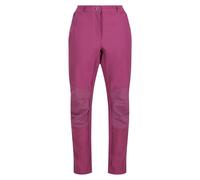 Regatta Womens/Ladies Questra IV Stretch Hiking Trousers (Amaranth Haze) - Multicolour - Size 18 UK
