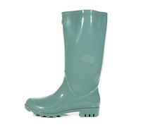 Regatta Womens/Ladies Wenlock Wellingtons (7 UK) (Ivy Moss)