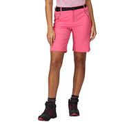 Regatta Womens/Ladies Xert Stretch Shorts (44R) (Fruit Dove)