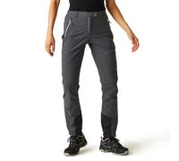 Isoflex 'Mountain III' Hiking Trousers Regatta Grey 8