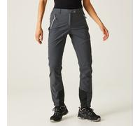 Regatta Mountain Iii Pants Grey 36 / Regular Women