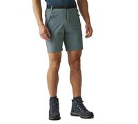 Hiking shorts Regatta Xert III 42