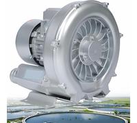 Regenerative Blower 120W-1500W 110V/220V/380V Single Phase/Three-Phase,High-Pressure Vortex Ring Blower,Industrial Vacuum Pump for Air Blowing Or Suction for Sewage Aeration Aquarium(350W/380V)