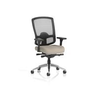 Regent High Mesh Back Ergonomic Task Operator Office Chair With Height Adjustable Arms Bespoke Colour Seat Quest Salt