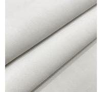 Regents Lux Soft Touch Plain Velvet Fire Retardant Plush Low Velour Cushion Sofa Upholstery Fabric Sold by The Metre - Optic White - 6 Metres