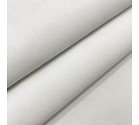 Regents Lux Soft Touch Plain Velvet Fire Retardant Plush Low Velour Cushion Sofa Upholstery Fabric Sold by The Metre - Optic White - 1 Metre