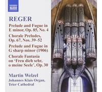 Martin Welzel - Reger: Organ Works Volume.10