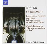 REGER / WETZEL - ORGAN WORKS 6 - CD - M3z